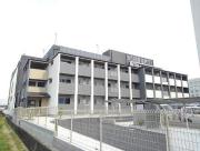 Annex殿城