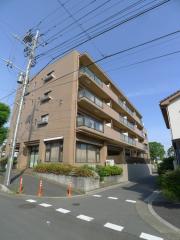 parco vista