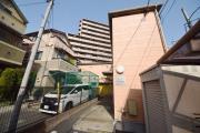 Y′s flat