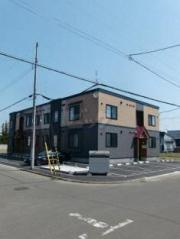new-ness彩