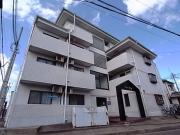 ホワイト石塚