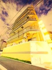 エスエスアドヴァンス横濱阪東橋ex