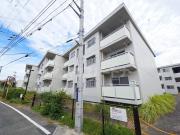テレパレス柏てるて 1号棟
