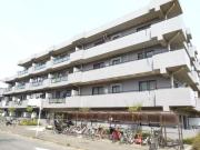 フローレンスMORITA