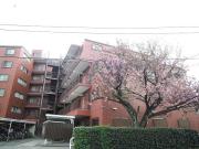 三田上板橋ガーデン