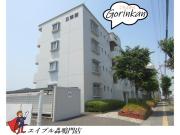 徳島県鳴門市撫養町立岩字七枚