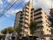 クレベール社ノ木