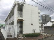 五十川