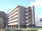 RITZ菊陽