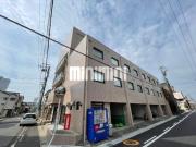 グレイス松降