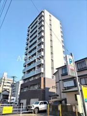 CEREZO TOKIWA st