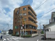 ヤマセビル