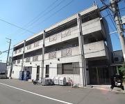 フラットカキノキ