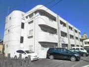 ベルシオン市川