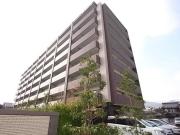 アルファステイツ祇園