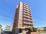 N35 FUJII MS