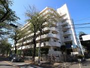 府中マンション