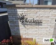 Lorbeer
