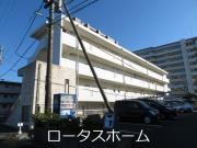 クラルテディヴァイン