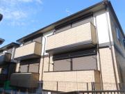 エバーグリーン