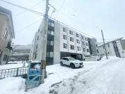 Salute南平岸
