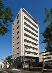 アルヴィ猫洞