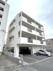 YZOcean