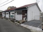 金田文化
