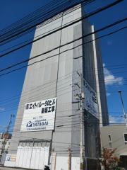 エイトバレー50