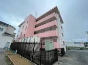 ドルチェ大磯
