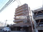 アモール高針