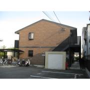 アムール Kuragano