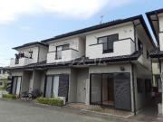 メイプルトゥリー