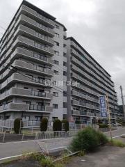 コスモ岩出