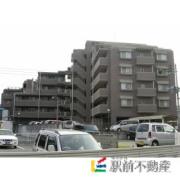 西鉄天神大牟田線高宮駅まで徒歩7分