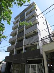 HY s YOKOHAMA LIGARE