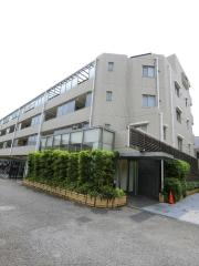 都営大江戸線牛込柳町駅まで徒歩7分