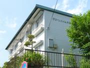 グリーンハイム小形6