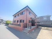 オリーブの樹つくば