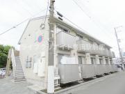 ステラ