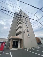 NS楠
