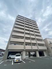 NS楠
