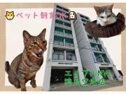 アーバンハイム東