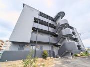 マンション紫尾