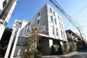 ステラコート中野