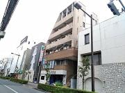静フェバレット