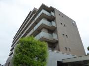 サーパス緑町