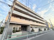 グランカーサお花茶屋
