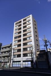 akira quattro