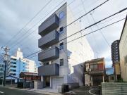 Sugarloaf Park花の木II